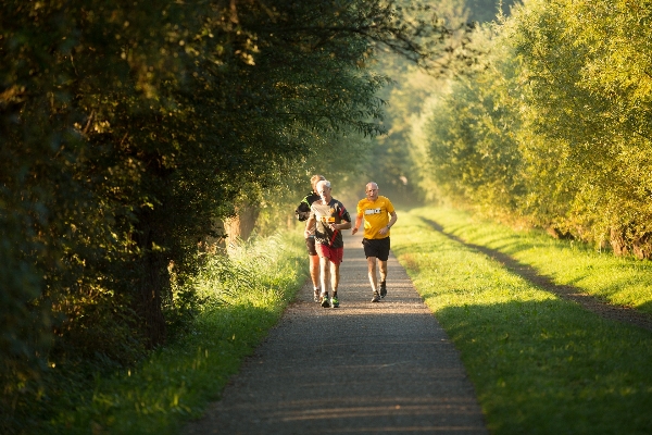 Man forest walking trail Photo