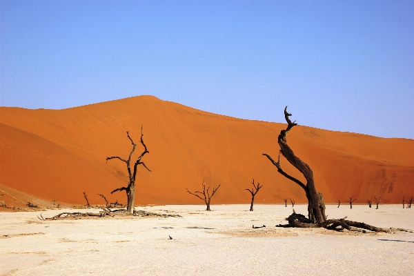 Landscape sand sky desert Photo