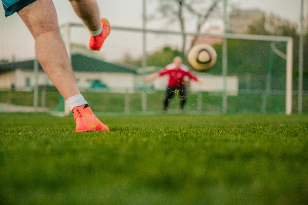 Foto Rumput olahraga halaman hijau