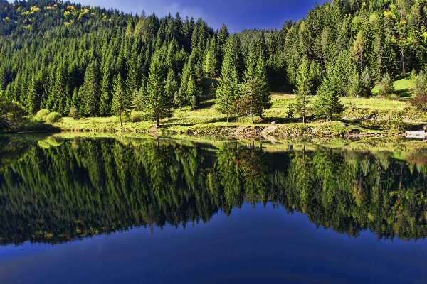 Landscape tree water nature Photo