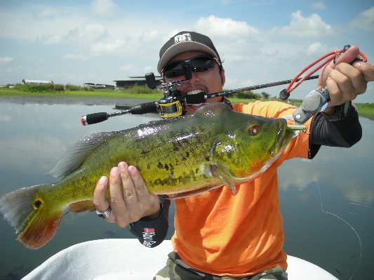 Fishing perch fish reel Photo