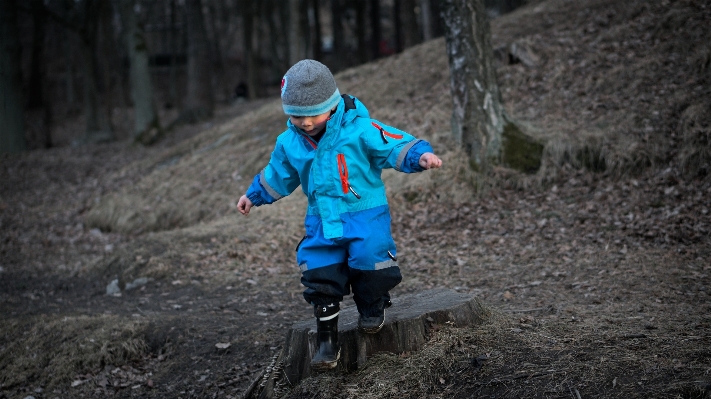 Forest outdoor cold trail Photo