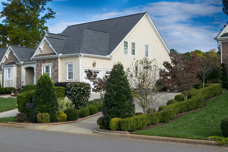 Landscape lawn house roof