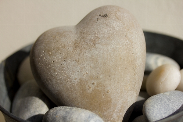 Plant fruit stone love Photo