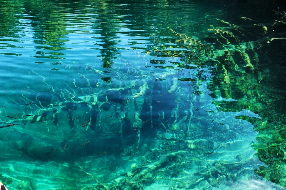 Mare acqua liquido lago