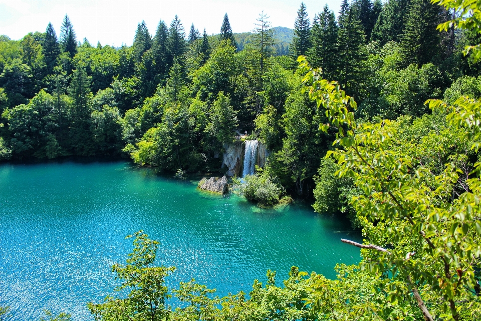 Landschaft küste baum wasser