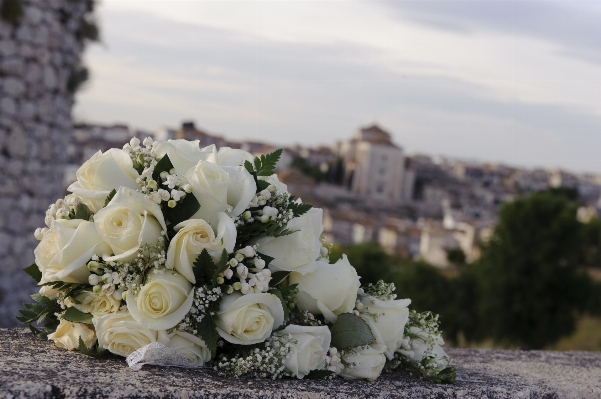 Plant flower bouquet wedding Photo