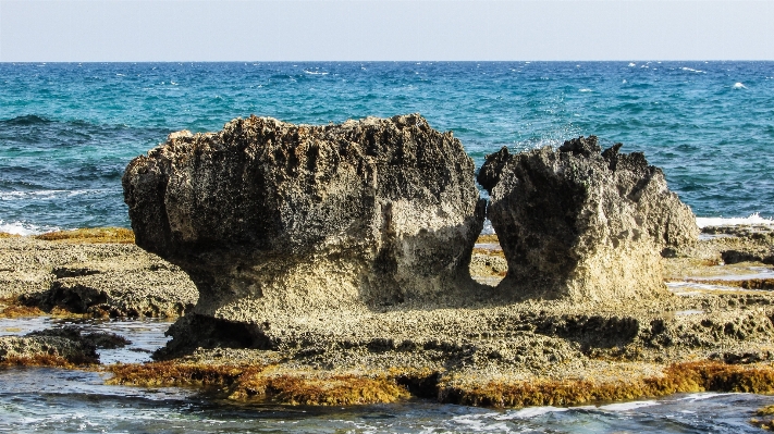 Beach sea coast water Photo