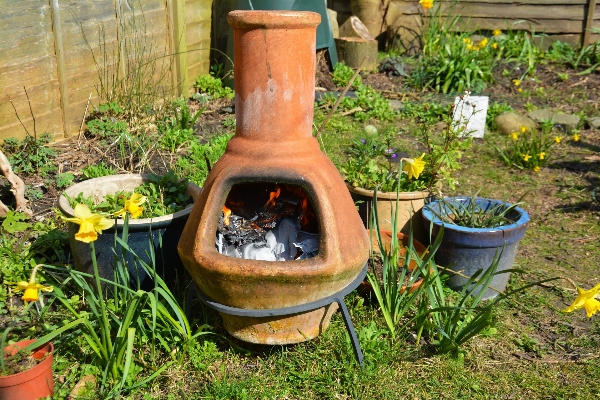 Outdoor winter lawn warm Photo