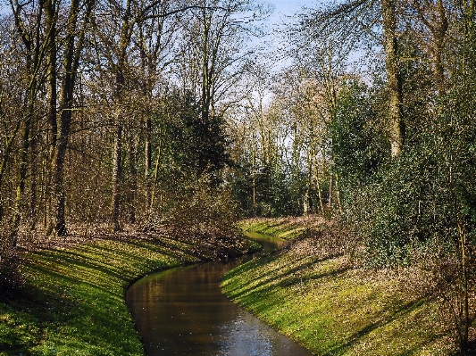 Landscape tree water nature Photo