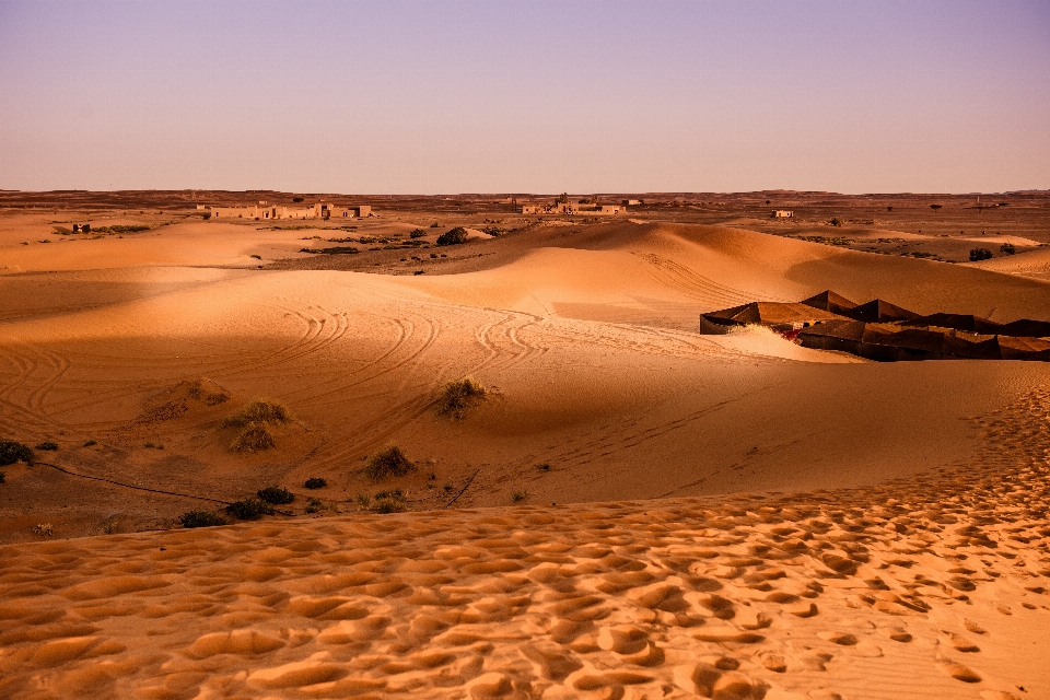 Landscape sand desert dune