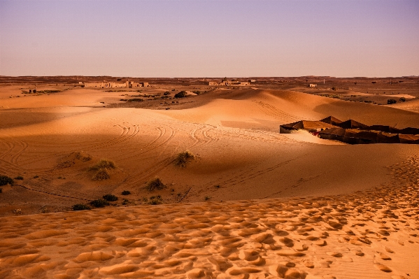 Landscape sand desert dune Photo