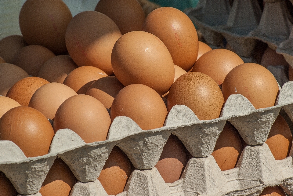 Food market egg eggs