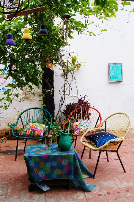 Planta silla hogar verano