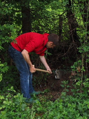 Work man tree forest Photo