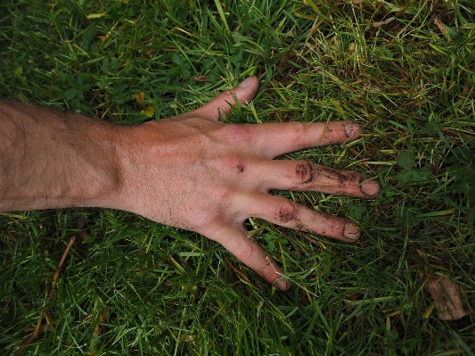 Work hand grass lawn Photo