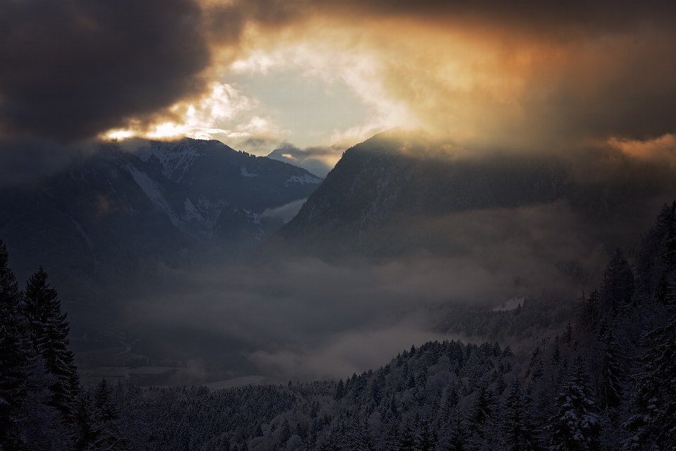 Paysage nature forêt montagne