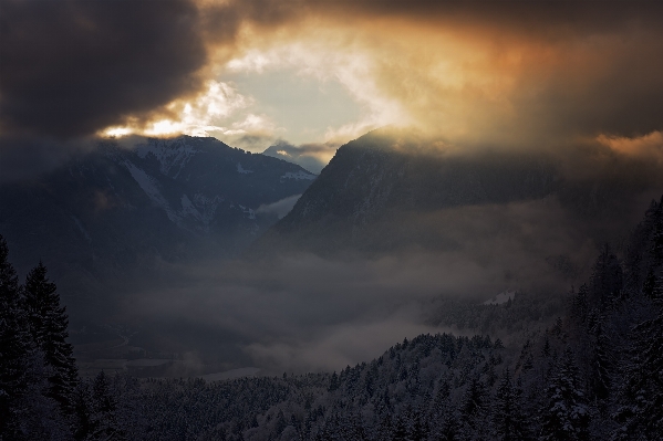 Landscape nature forest mountain Photo