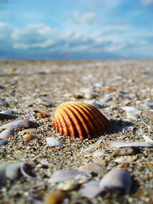 Strand meer sand rock Foto