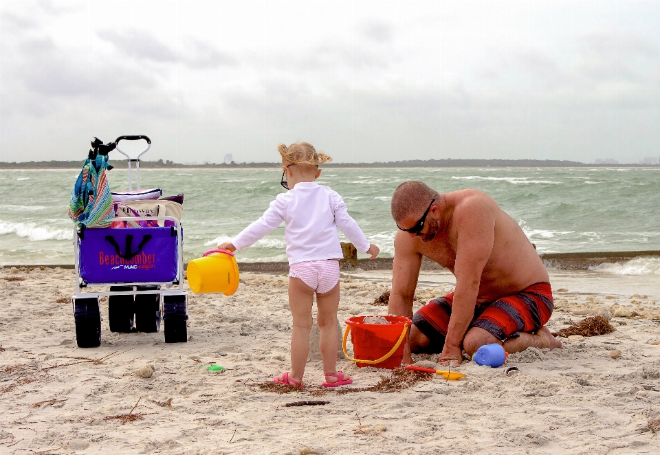 Plaża morze wybrzeże piasek