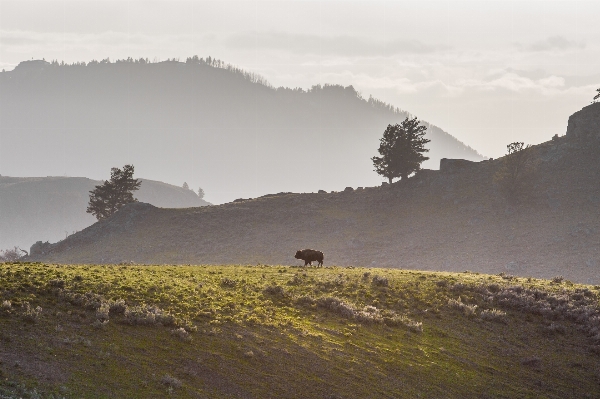 Landscape nature wilderness walking Photo