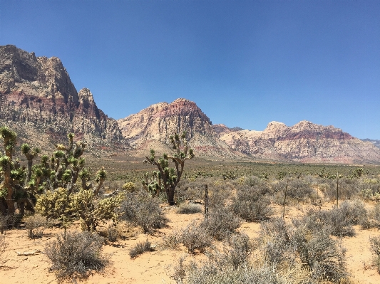 Landscape rock wilderness mountain Photo