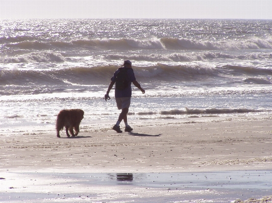 男 ビーチ 海 海岸 写真