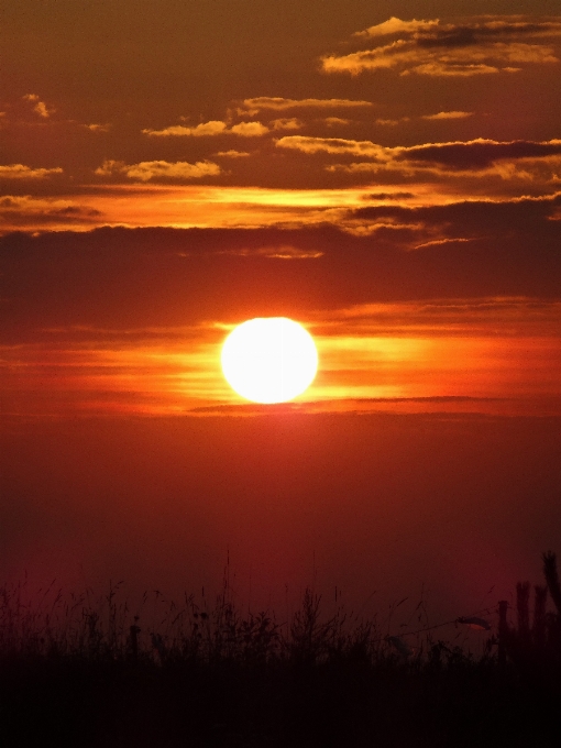 Paysage nature horizon nuage