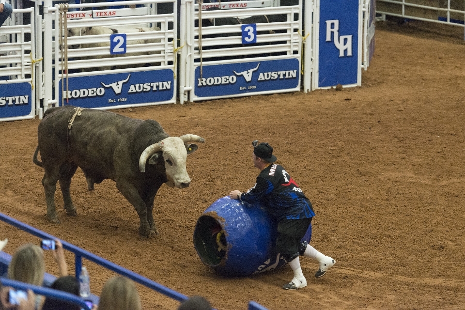 Hombre deporte animal acción