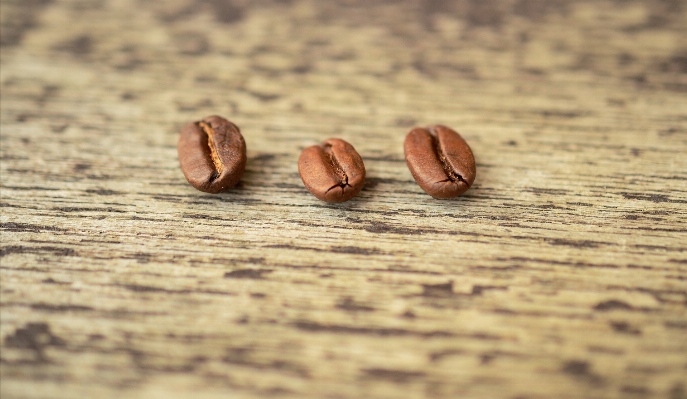 Hand coffee plant wood Photo