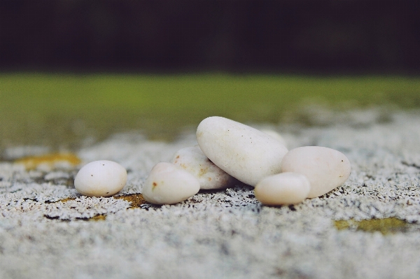 Photo Main nature sable blanc