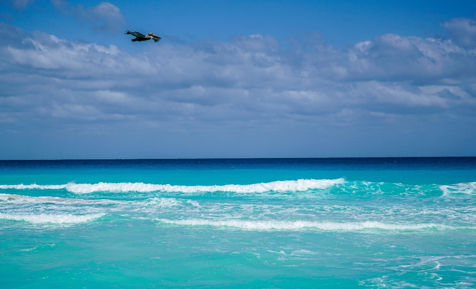 Beach landscape sea coast