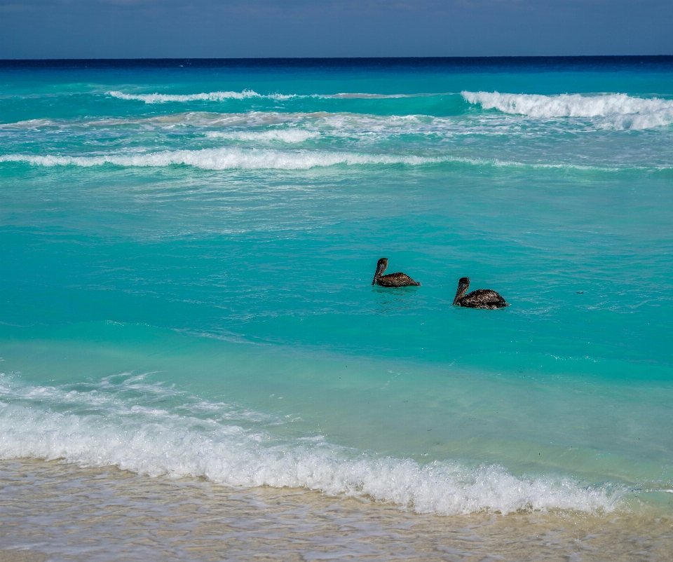 Beach landscape sea coast