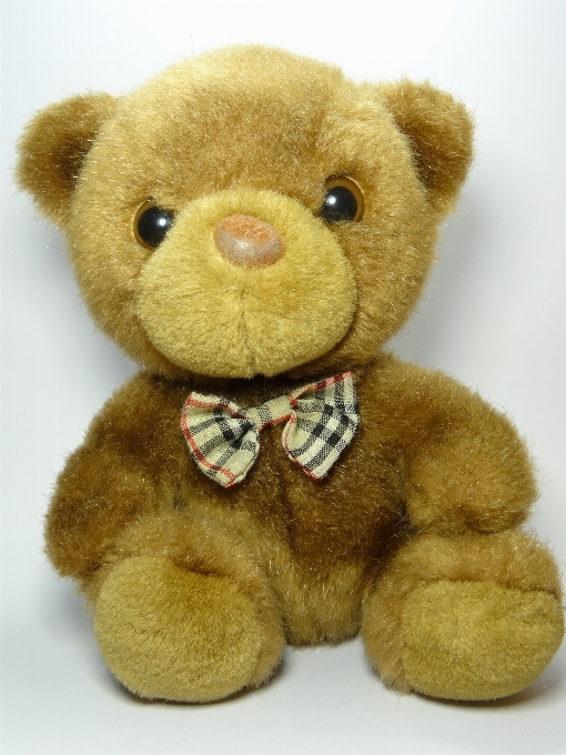 Bear toy teddy textile