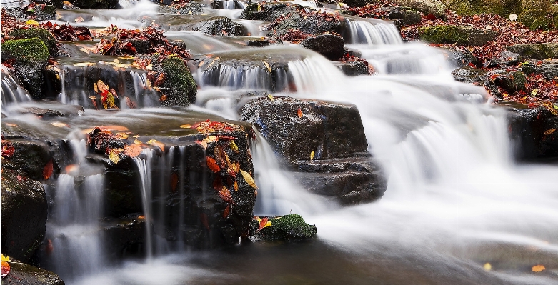 Landscape water nature forest Photo