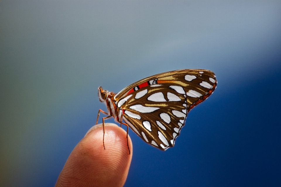 Naturaleza ala fotografía primavera