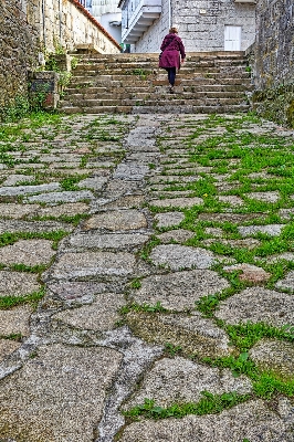 Foto Jalur jalan rumput rock