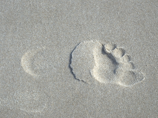 Beach sand texture dune Photo