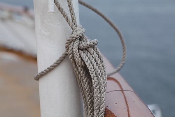 Sea dew rope ship Photo