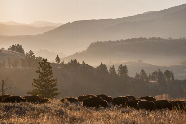 Landscape nature horizon wilderness Photo