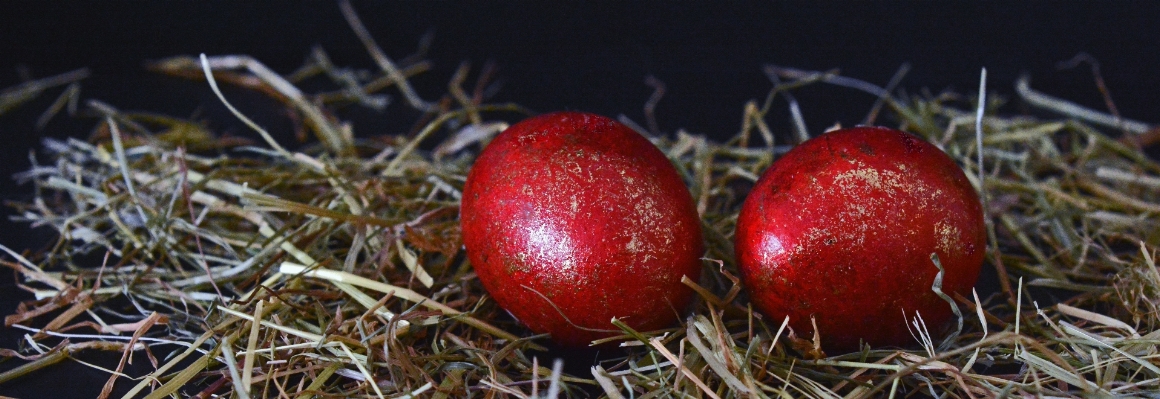 Foto Cabang tanaman jerami buah