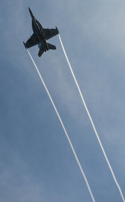 Wing sky wind flying