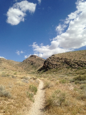 Landscape path grass outdoor Photo