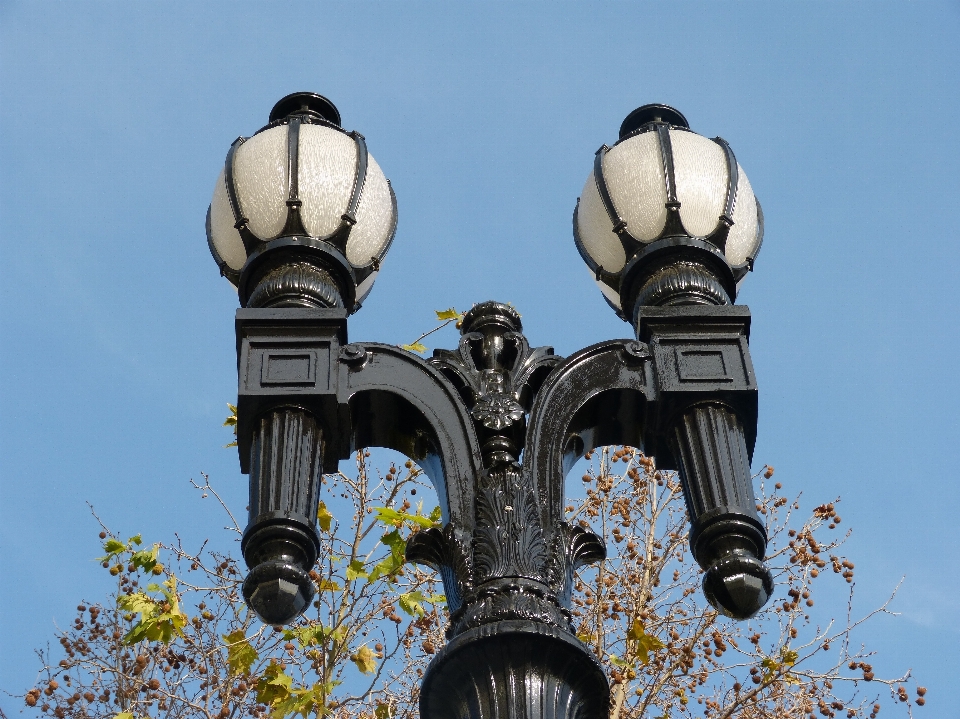 Strada statua lampione
 illuminazione