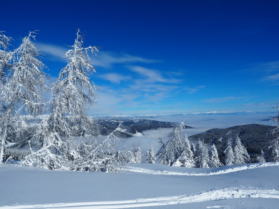 Landschaft draussen berg schnee