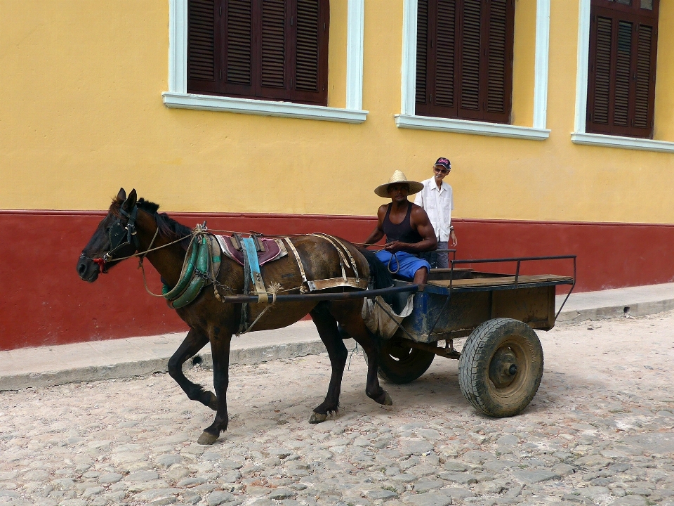 Mann die architektur wagen stadt