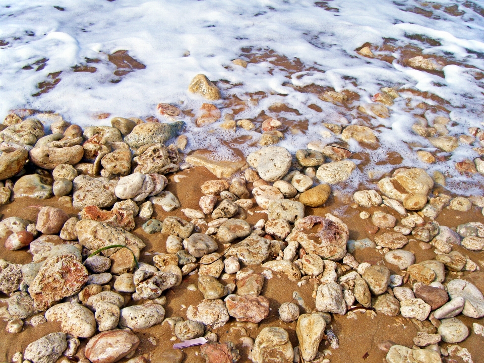 Plage côte sable rock