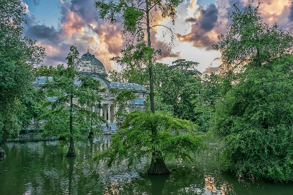 Baum wasser natur wald Foto