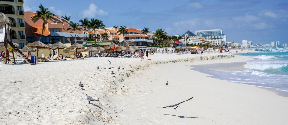 Plage mer eau nature