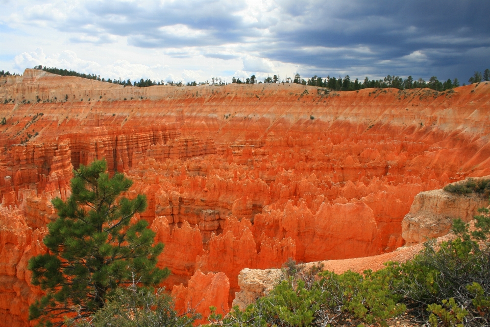 Landscape nature rock formation